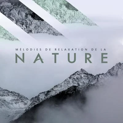 White Noise Therapy/Sample Rain Library/Sunset Chill Out Music ZoneMélodies de Relaxation de la Nature: White Noise 2020