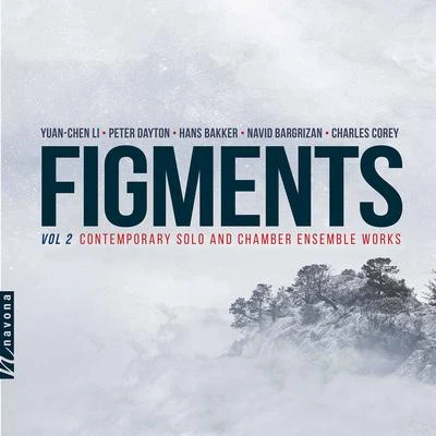 Petr Vronsky/Rohan Gregory/Ondřej Jurčeka/Omar Chen Guey/Sergio Cervetti/Peter Sulski/Moravian Philharmonic Orchestra/Karolina Rojahn/Jacques Lee WoodFigments, Vol. 2