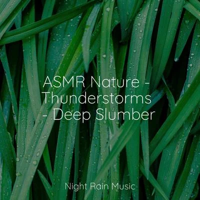 Tibetan Singing Bowls for RelaxationEchoes Of NatureWhite Noise Sound GardenASMR Nature - Thunderstorms - Deep Slumber