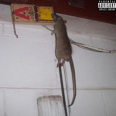 RockoRat On The Wall