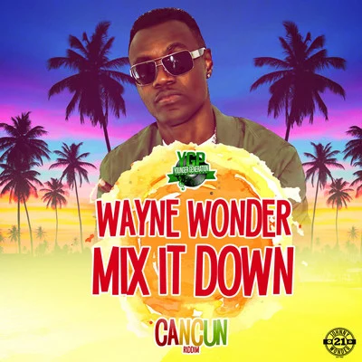 Wayne WonderMix It Down