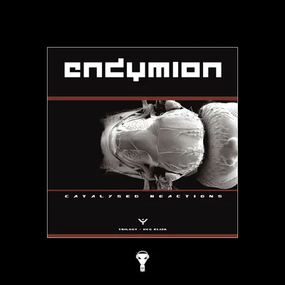 EndymionThree - Sampler 2