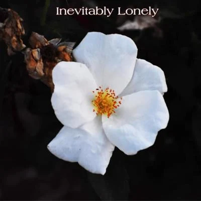 Lemay/MaizeInevitably Lonely