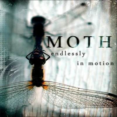 MothEndlessly In Motion