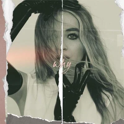 Sabrina Carpenter/Dagny/Ellie Goulding/Bülow/Lady Gaga/Lorde/Mabel/Colby ODonisWhy