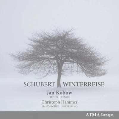 Jan KobowSCHUBERT, F.: Winterreise (Kobow, Hammer)