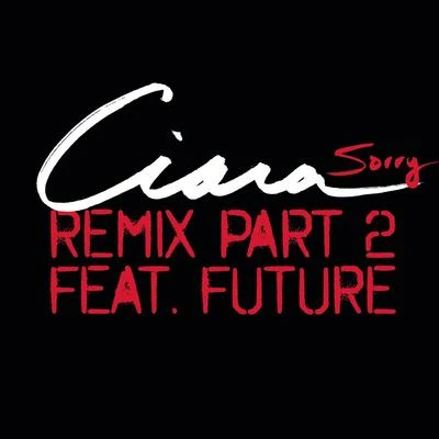 Ciara/Whitney Houston/Michael Jackson/The Script/Shakira/Kelly Clarkson/Leona Lewis/Corinne Bailey Rae/Nina Simone/Bill MedleySorry (Remix Part 2)