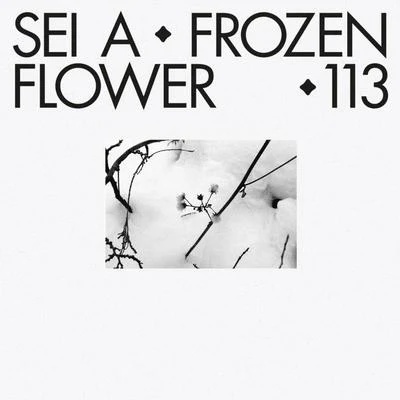 Milton Jackson/Sei AFrozen Flower