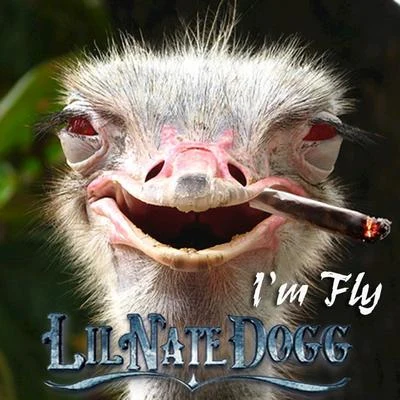 Lil Nate Dogg/Nate DoggI&#x27;m Fly