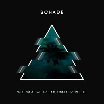 SchadeNot What We Are Looking For [Volume 2]