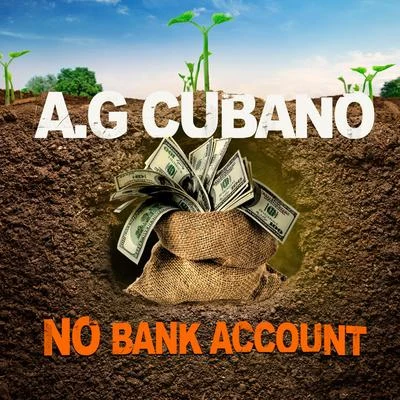 Seany Boy/AG CubanoNo Bank Account