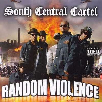 South Central CartelRandom Violence