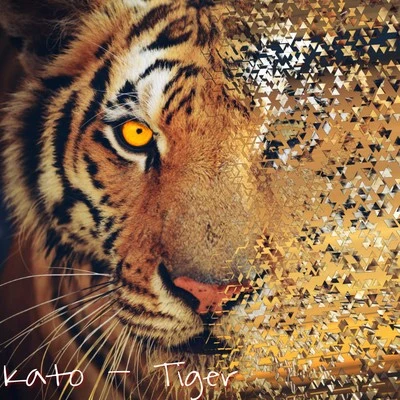 KatoTiger