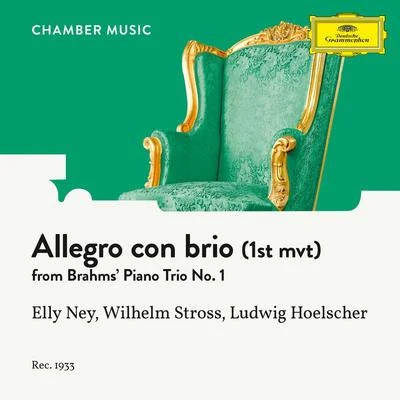 Elly NeyBrahms: Piano Trio No. 1 In B, Op. 8: I. Allegro con brio