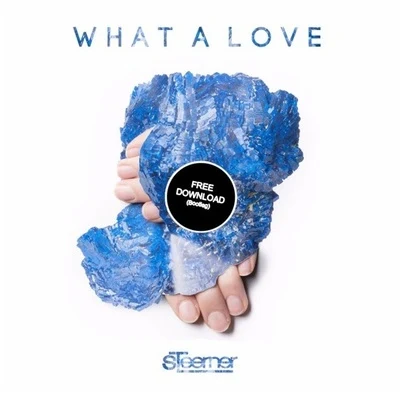 SteernerVuk LazarWhat A Love (Steerner Bootleg)