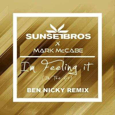 Sunset BrosIm Feeling It (In The Air) (Sunset Bros X Mark McCabeBen Nicky Remix)