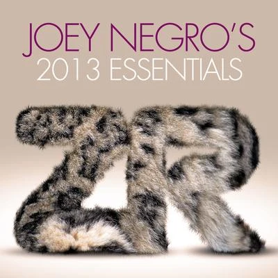 Choklate/Joey Negro/Raven Maize/Dave Lee/Akabu/Electric Tango/Kola Kube/Jakatta/Gramophonedzie/Shea SoulJoey Negros 2013 Essentials