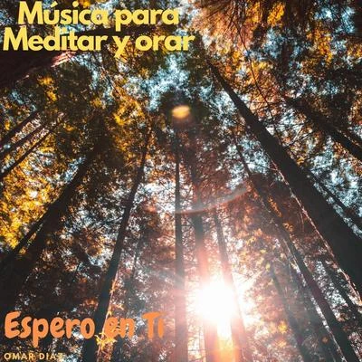 Omar Diaz/Attila Syah/Angel Falls/Alpha Force/Nathia Kate/VIKA/Pierre Pienaar/Bigtopo/Ellez Ria/MantraMúsica para Meditar y Orar: Espero en Tí