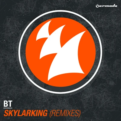 葛贊/BT/YCL1MSkylarking (Remixes)