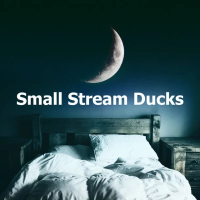 Deep Sleep Brown NoiseSmall Stream Ducks