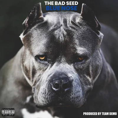 The Bad SeedBlue Nose