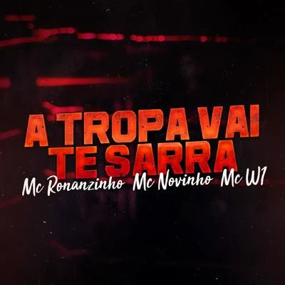 DJ Tubarão/MC NovinhoA Tropa Vai Te Sarra