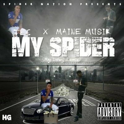 Maine MusikMy Spider