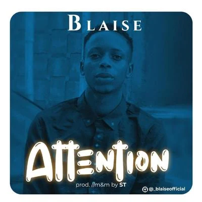 BLAISEAttention