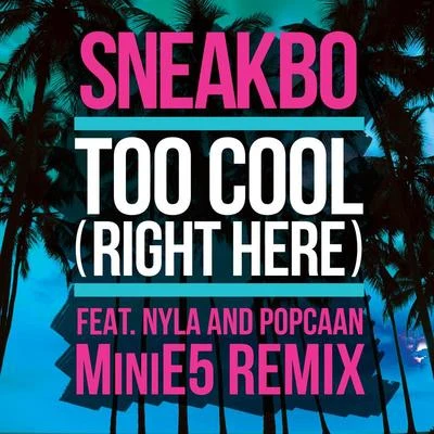 Sneakbo/TujamoToo Cool (Right Here) (MiniE5 Remix)