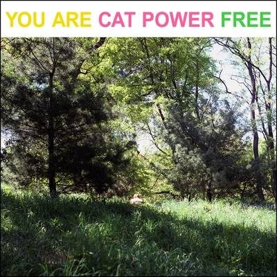 Mason Jennings/Cat Power/Tom Verlaine/Stephen Malkmus/Ramblin Jack Elliott/Lee Ranaldo/Bob Dylan & The Band/Jack Johnson/Marcus Carl Franklin/The Million Dollar BashersYou Are Free