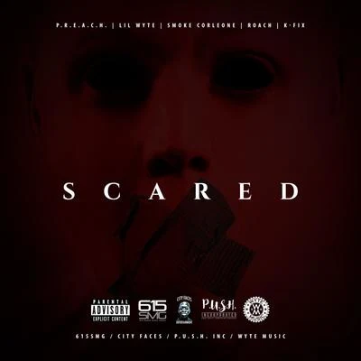 Los Ghost/Lil Wyte/Serious MakScared