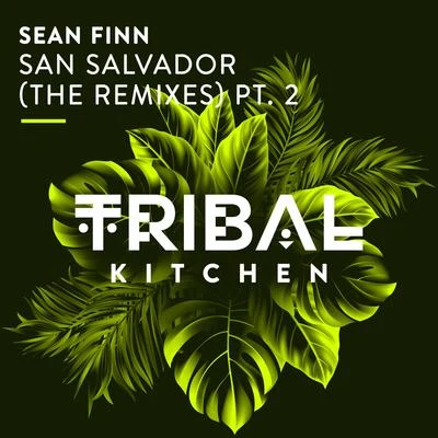 Sean FinnSan Salvador (The Remixes) Pt. 2