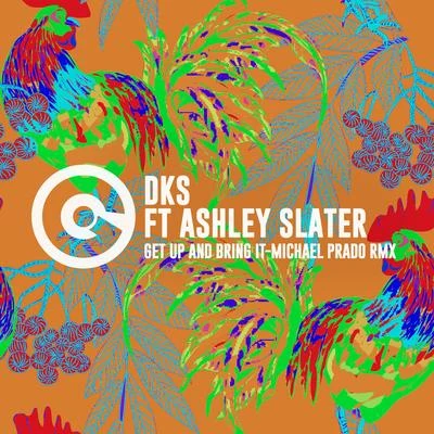 Ashley SlaterGet Up And Bring It (Michael Prado Remix)