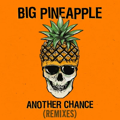 Big PineappleAnother Chance (Remixes)