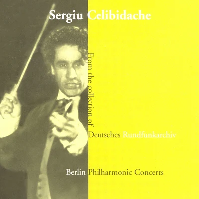 Sergiù Celibidache/David Oistrakh/The Pittsburgh Symphony Orchestra/THE LONDON PHILHARMONIC ORCHESTRA/Nathan Milstein/The Royal Tuscany Orchestra/Vladimir Yampolski/The Philadelphia Orchestra/Karl Brazda/Pyotr Ilyich TchaikovskyOrchestral Music - BEETHOVENBRAHMSSTRAUSS, R.DVORAKBRITTENPROKOFIEVHAYDNBERLIOZDEBUSSY (Berlin PhilarmonicCelibidache)