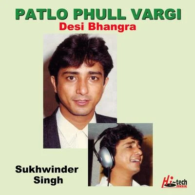 Sukhwinder Singh/Sonu Kakkar/Sandeep ChowtaPatlo Phull Vargi