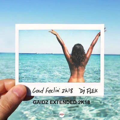 M.O.B/DJ FlexGood Feelin (Gaidz Extended 2k18)