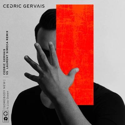 Cedric GervaisDallas AustinDigital Farm AnimalsSomebody New (Cedric Gervais & Laurent Simeca Remix)