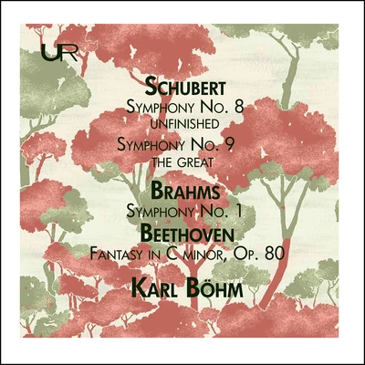 Vienna PhilharmonicSchubert: Symphony Nos. 8 & 9 - Brahms: Symphony No. 1 (Live)