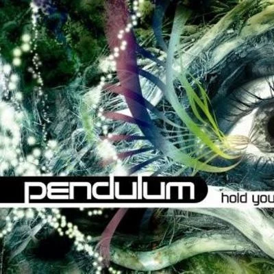 SirReal/PendulumTarantula (Tom Budin Remix)