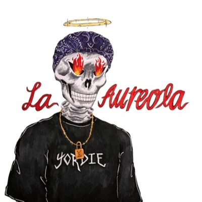 $NOTLa Aureola