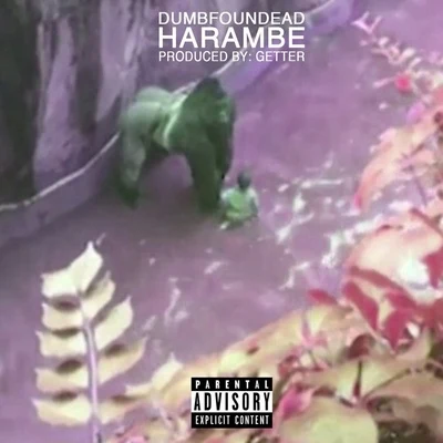 DumbfoundeadHarambe