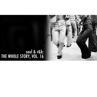 Various ArtistsSoul & R&B: The Whole Story, Vol. 16