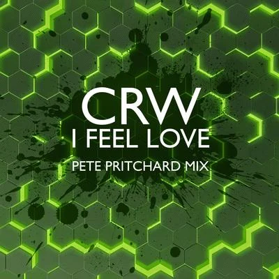 CRWI Feel Love (Pete Pritchard Mix)