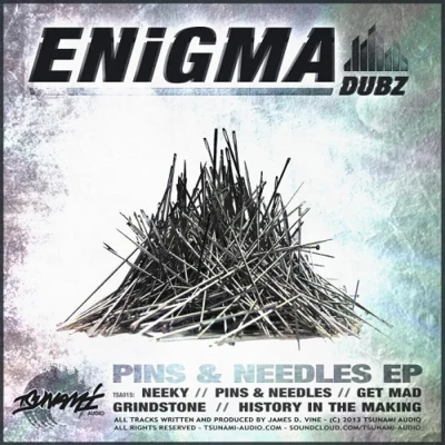 ENiGMA DubzPins N Needles