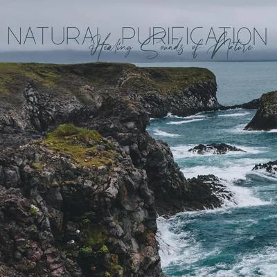 Natural Healing Music ZoneNatural Purification (Healing Sounds of Nature for Deep Body & Mind Regeneration)