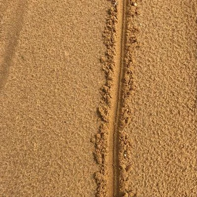 Denine/Collage/Collage & DenineLine in the Sand