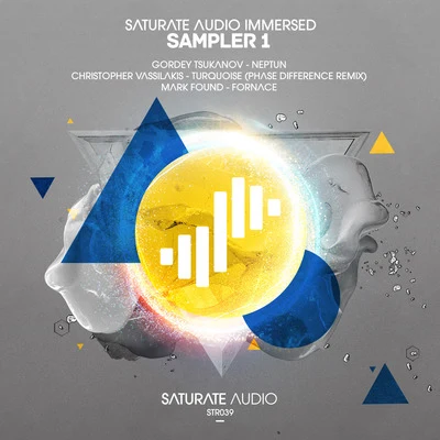 Mark FoundSaturate Audio Immersed Sampler 1