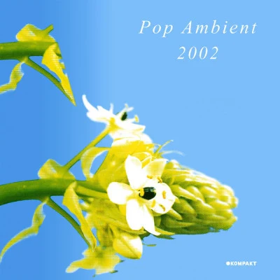 DiversePop Ambient 2002