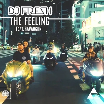 DJ FreshThe Feeling